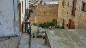 carrers